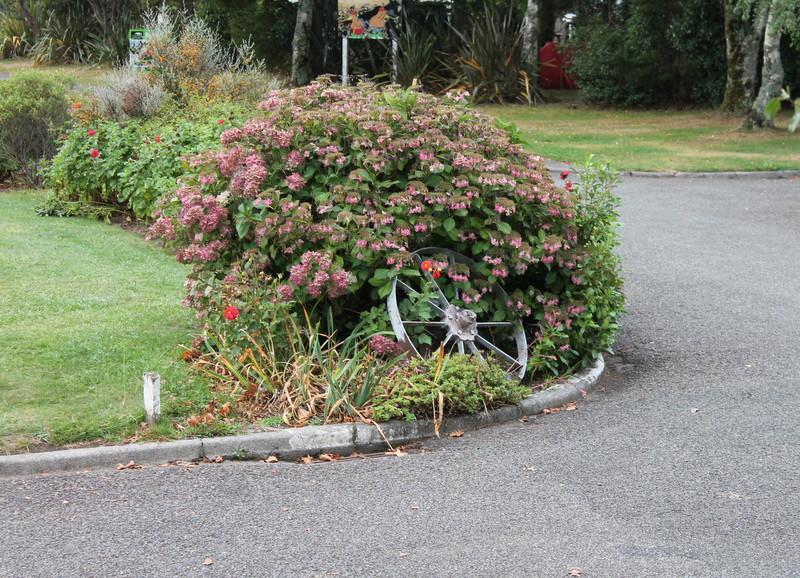 Turangi Holiday Park Exteriör bild